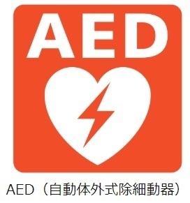 Aedの雑学 関連情報 Aedレンタルサービス株式会社