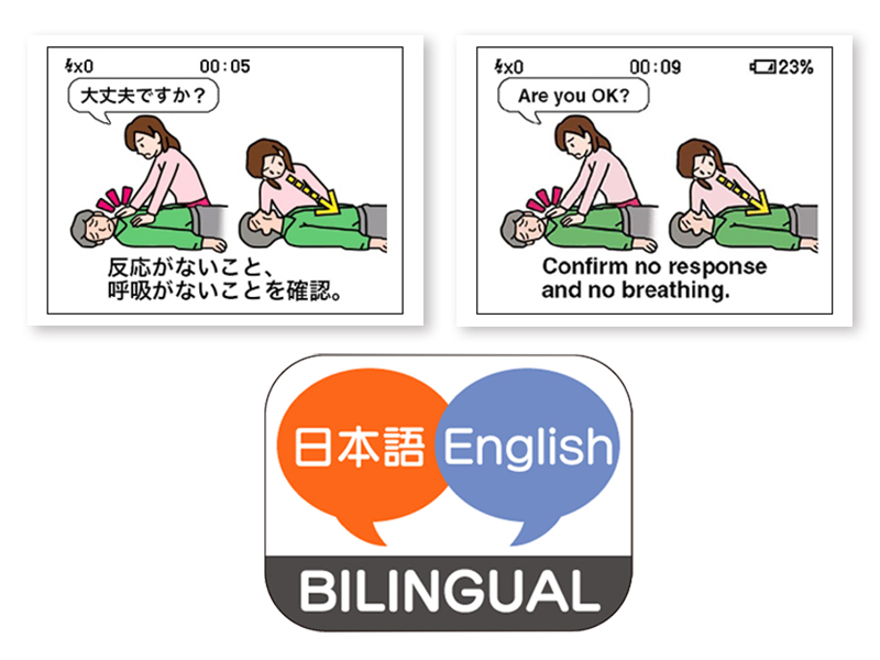 バイリンガルモデル