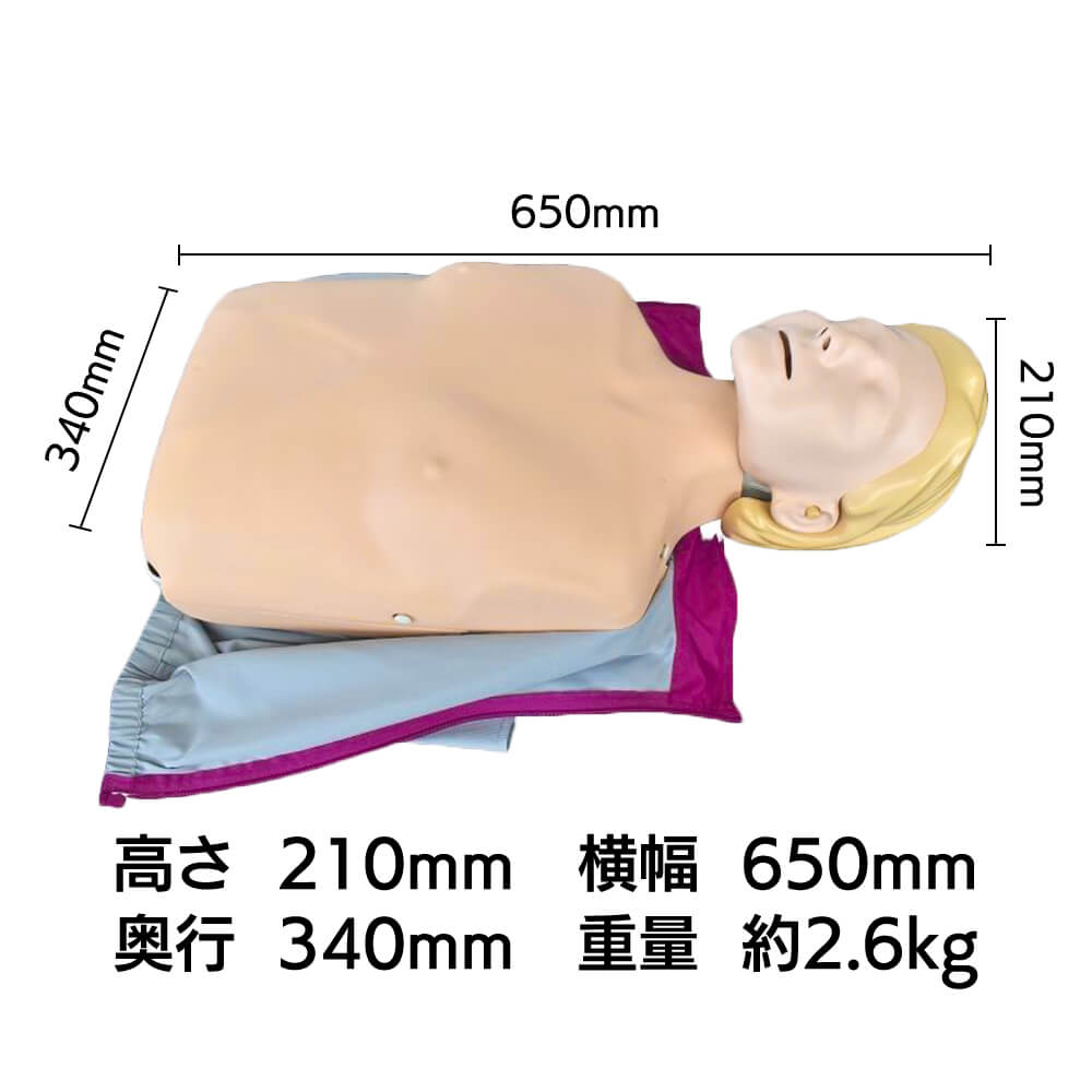 成人マネキンサイズ・重量