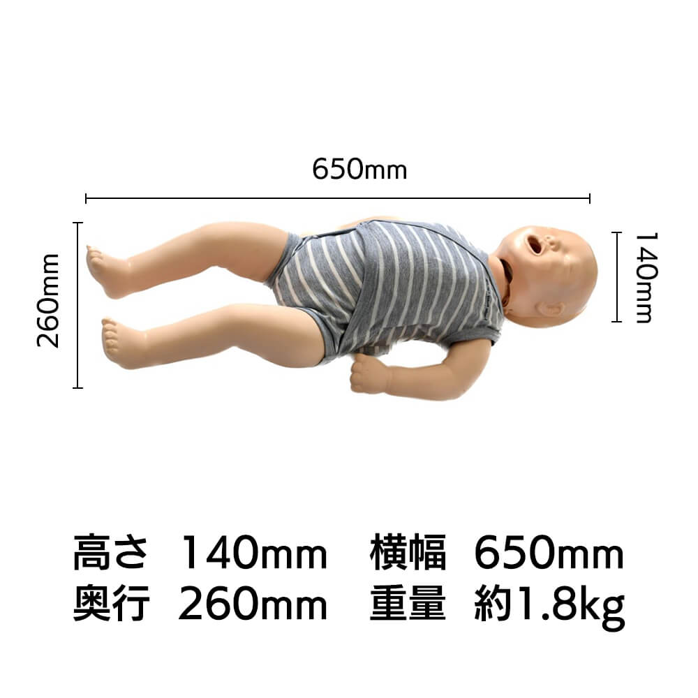 乳児マネキンサイズ